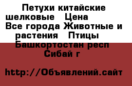 Петухи китайские шелковые › Цена ­ 1 000 - Все города Животные и растения » Птицы   . Башкортостан респ.,Сибай г.